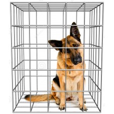 Dog Cage